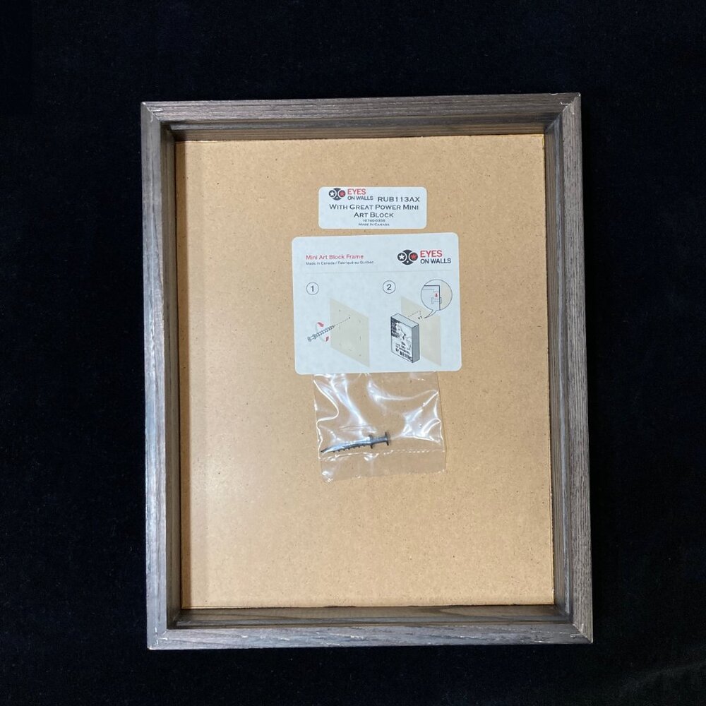 Moody Art Masked Woman with Globe NEW Framed - Picture 4 of 6